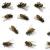 Palos Hills Pest Control by Extreme Bedbug Extermination