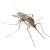 Matteson Mosquitoes & Ticks by Extreme Bedbug Extermination