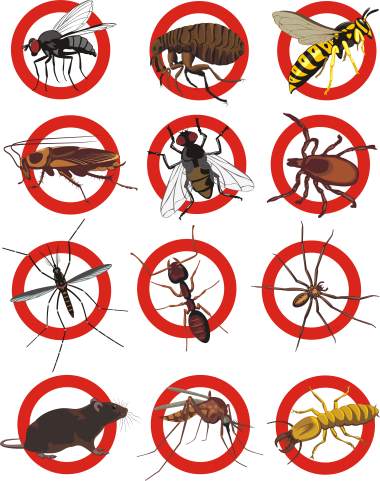 Pest control services by Extreme Bedbug Extermination